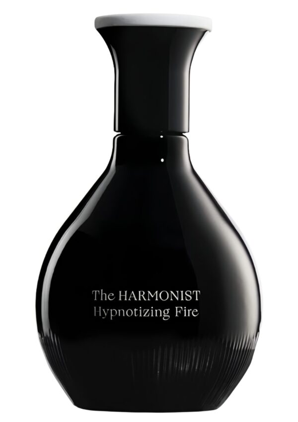 Hypnotizing Fire by The Harmonist